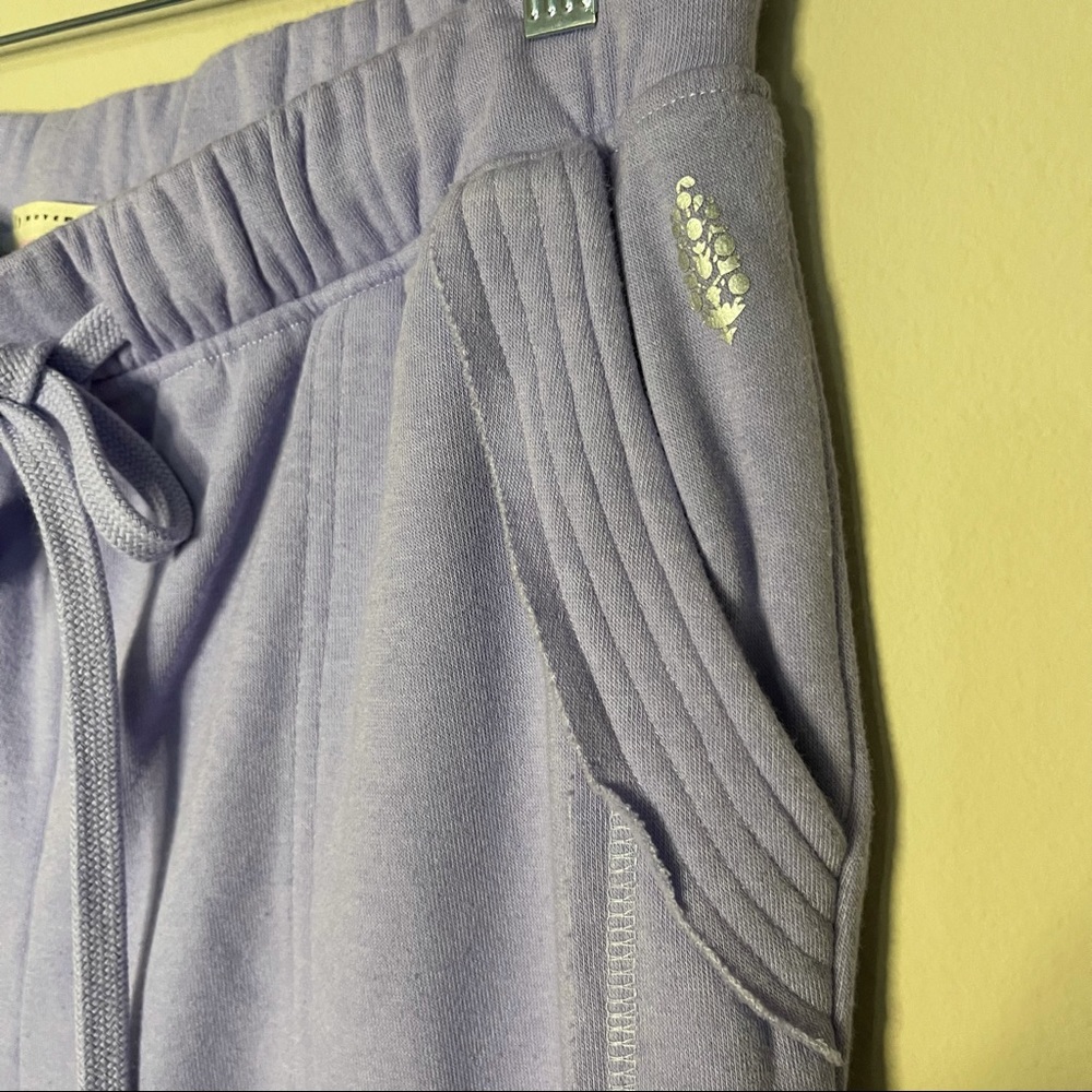 Free People x FP Movement Work It Out Lilac Sweats - Picture 4 of 10